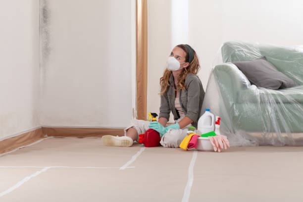 Reliable Mold Remediation contractor in Olney, IL by WQB Mold Removal